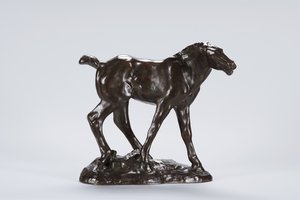 Colt (bronz)