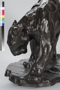 Nagy Puma Smeling Ox Track alkotó: Arthur Putnam