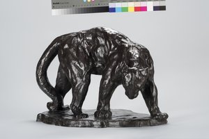 Nagy Puma Smeling Ox Track alkotó: Arthur Putnam