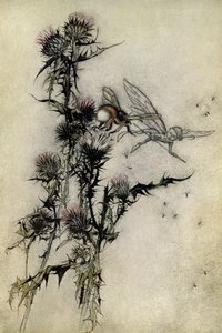 Szentivánéji álom alkotó: Arthur Rackham