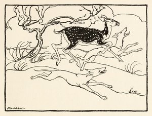 Becfola a szekerén a Becfola udvarlása az Irish Fairy Tales-ből Lásd a leírást alkotó: Arthur Rackham