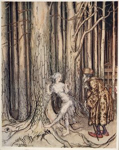 Fitchers Bird, a Little Brother & Little Sister és a Grimm testvérek egyéb meséiből, pub.1917 alkotó: Arthur Rackham