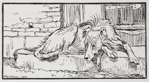 Illusztráció az öreg szultántól egy kutyáról. alkotó: Arthur Rackham