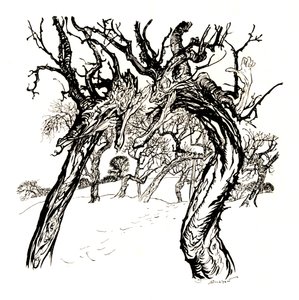 Suttogó fák, Egy tál almásból, 1917, 1923 alkotó: Arthur Rackham