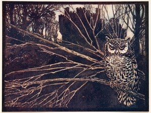? vagy egy csikorgó bagoly.., A Grimm testvérek tündérmeséi, kocsma. 1909 alkotó: Arthur Rackham