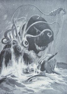 A Kraken vs. sperma bálnák