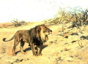 Oroszlán a bozót között alkotó: Arthur Wardle