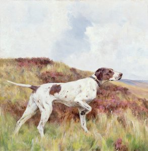 Egy mutató (olaj a fedélzeten) alkotó: Arthur Wardle