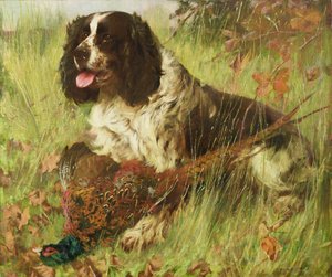 Springer spániel fácánnal alkotó: Arthur Wardle