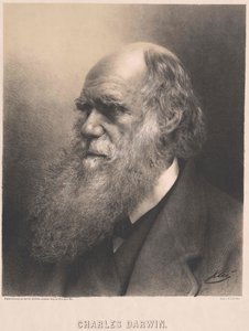 Charles Darwin alkotó: Artist Unknown