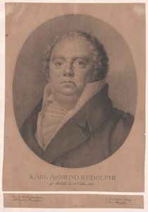 Karl Asmund Rudolphi alkotó: Artist Unknown