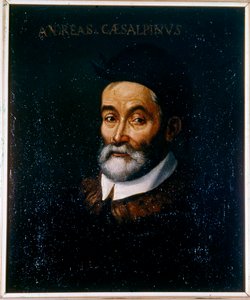  alkotó: Artist Unknown