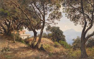 Ascan Lutteroth déli nézet 1889