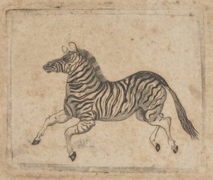 Egy zebrát ábrázoló bankjegymatrica, kb. 1824-37.