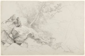 Study of Rocks with Trees, Hague, Lake George, New York, 1862 (grafit szürke papíron) alkotó: Asher Brown Durand