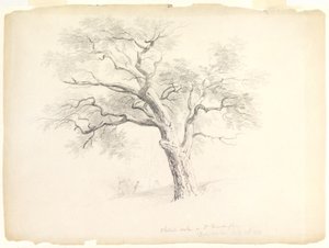 The Chestnut Oak a Hosack Estate-en, Hyde Park, New York, öt figurával és egy művész vázlattal, 1838 (grafit papíron) alkotó: Asher Brown Durand