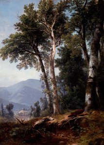 Erdei táj, 1850 körül (olaj, vászon) alkotó: Asher Brown Durand