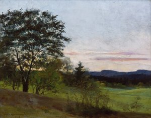 Táj Aske felől alkotó: Asta Norregaard