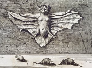 Repülő macska, 1667 alkotó: Athanasius Kircher
