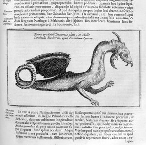Sárkány, 1678 alkotó: Athanasius Kircher