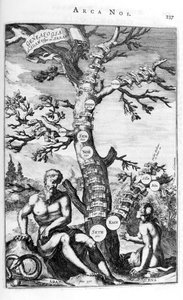 Ádám genealógiai fája, 1675. alkotó: Athanasius Kircher
