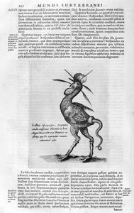Mitikus lények, 1678. alkotó: Athanasius Kircher