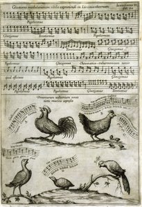 A dal, amelyet bizonyos illékony anyagok bocsátanak ki, hangjegyekkel kifejezve: „Musurgia Universalis”, Athanasius Kircher alkotó: Athanasius Kircher