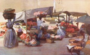 Róma: Campo de