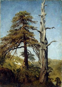 ""Study of trees, Norvégia"" August Cappelen (1827-1852) festménye 1850 Nemzeti Művészeti Múzeum, Oslo, Norvégia