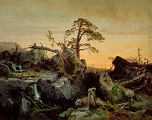 Haldokló dzsungel
