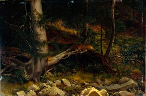Tanulmány az erdő talaján (festmény)