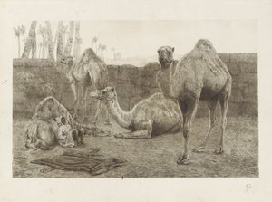 tevék alkotó: August Le Gras
