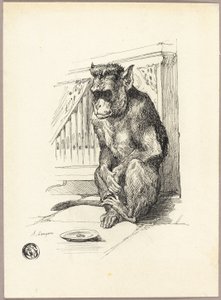 Könyörgő majom alkotó: Auguste Andre Lancon