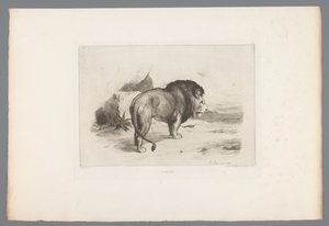 Oroszlán Un vieux lion (cím a tárgyon) Francia rézkarcok 1874-ből (sorozat címe) L