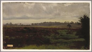 Mocsárvidék, 1850-es évek közepe (olaj, papír)