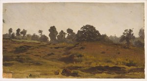 Kilátás egy mezőre, 1850-es évek eleje (olaj, papír)