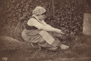 Paraszt, c. 1870.
