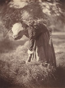 Paraszt, c. 1870.