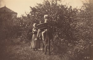 Két nő szamárral, 1870-es évek vége.