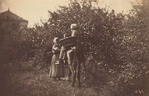Két nő szamárral,1870-es évek vége (fotó)