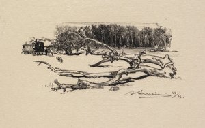 Fontainebleau-i erdő: Carrefour de l