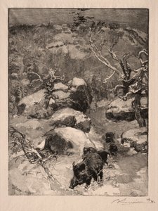 Roche Cuvier Chatillon, 1887. alkotó: Auguste Louis Lepère