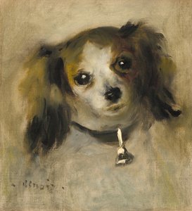 Egy kutya feje alkotó: Auguste Renoir
