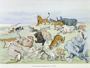 Pestisben szenvedő állatok „” Les Fables de la Fontaine”, ill. Írta: Auguste Vimar (1851-1916), Tours, A, Mame & Son