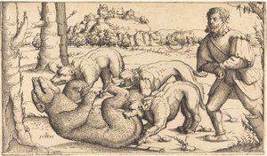 Medvevadászat, 1545.