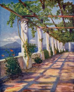 Pergola (színes litográfia)