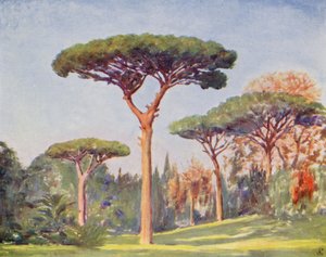 Rock Pines, Villa Floridiana (színes litográfia) alkotó: Augustine Fitzgerald