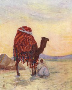 A Bash Aga gyaloghintója, Biskra (színes litográfia) alkotó: Augustine Fitzgerald