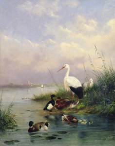 Egy tőkés réce család, két gólya és egy bojtos réce család (77886 pár) alkotó: Augustus Knip
