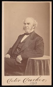 Peter Parker portréja 1804-1888, 1869. alkotó: Augustus Marshall